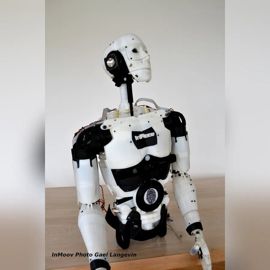 InMoov
