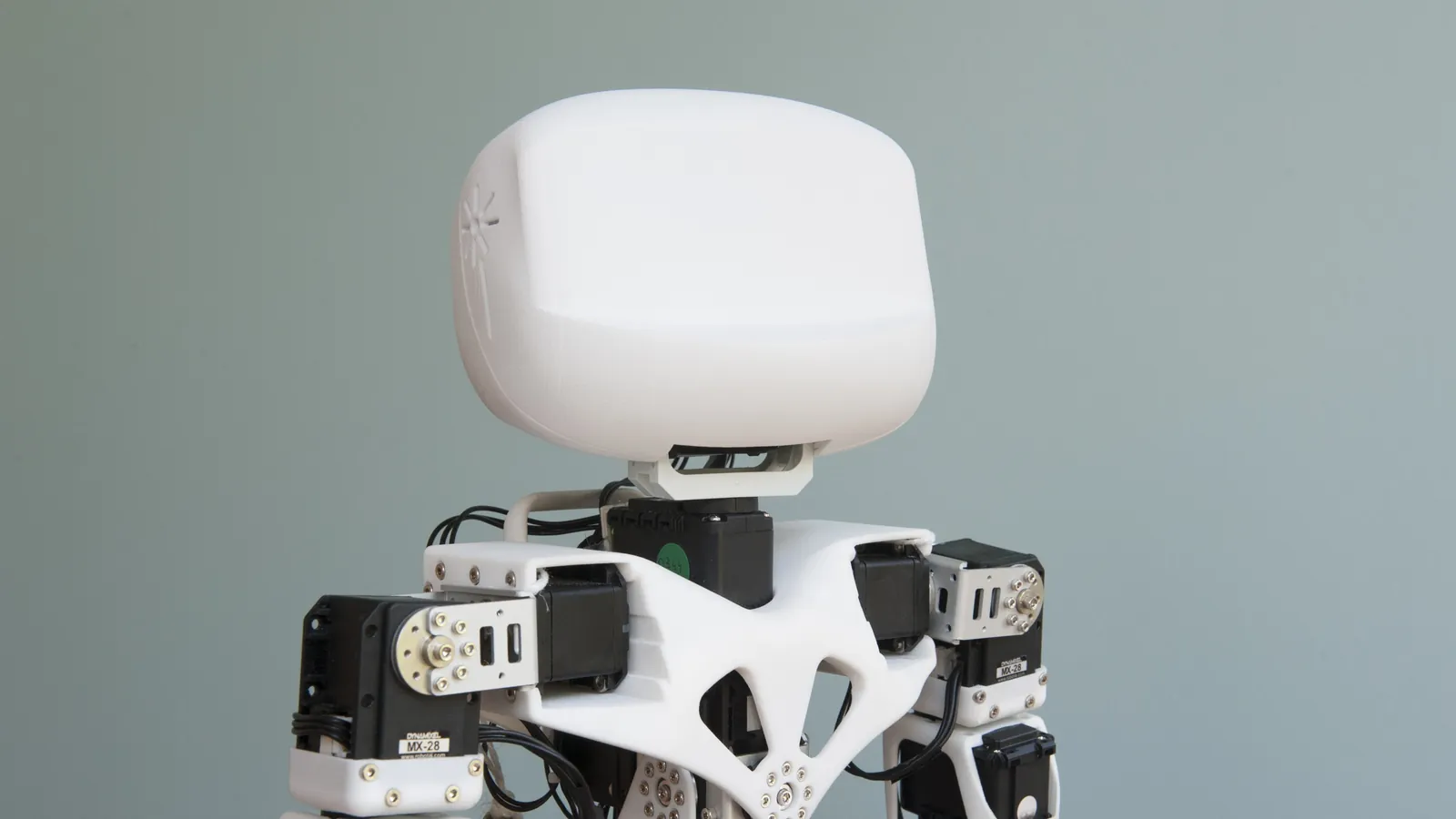 Poppy Humanoid — Image 1